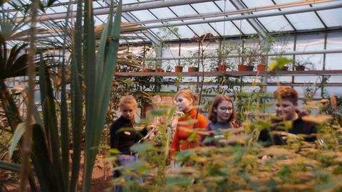 Schüler*innen im Tropengewächshaus