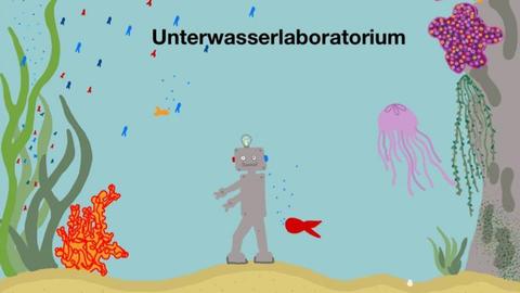 Zechnung Unterwasserwelt
