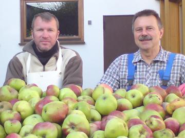 Zwei Männer mit Äpfeln beim Keltern