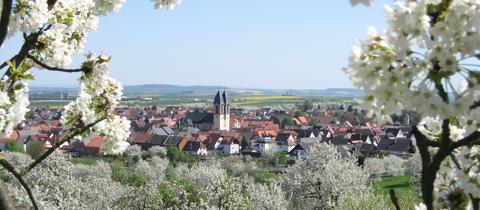 Blick über Ockstadt