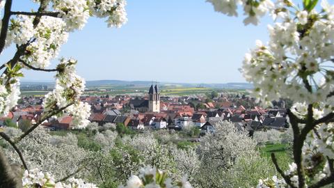 Blick über Ockstadt