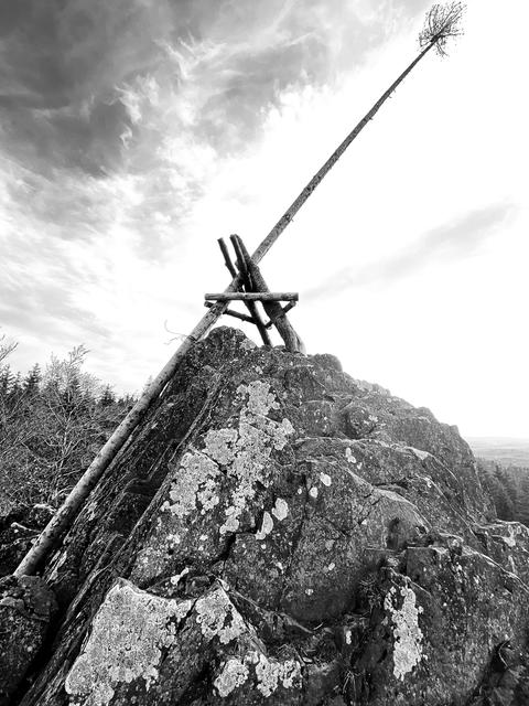 Impressionen aus dem Vogelsberg: ein einzelner in den Himmel ragender kahler Baum, an einen Felsen gelehnt und mit Balken gestützt