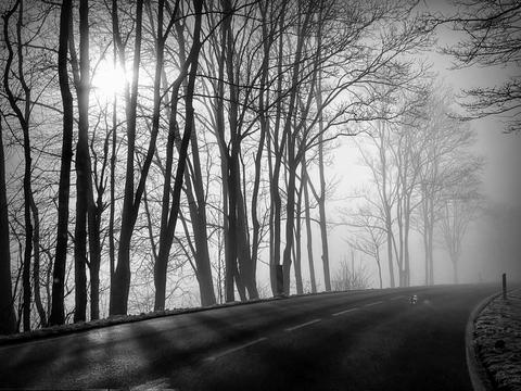 Impressionen aus dem Vogelsberg: Vom Rand aus Blick über die Landstraße und durch die dahinter stehenden Bäume, durch die im Nebel die Sonne bricht