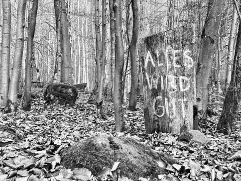 Impressionen aus dem Vogelsberg: In einem Wald stehendes Holzbrett mit der Aufschrifft "ALLES WIRD GUT"