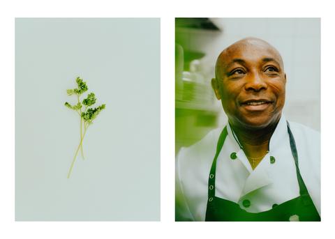 2 Reportage-Fotos: links zwei Petersilienstengel, rechts ein freundlicher people of color-Koch mit weißer Kochjacke und Ritualnarben im Gesicht