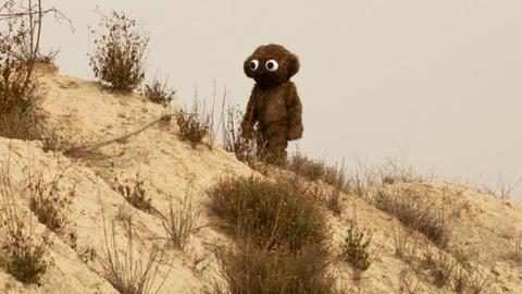 Ein Teddybär in einer kargen Landschaft: „A history of influence” Mario Garcia Torres im Fridericianum Kassel
