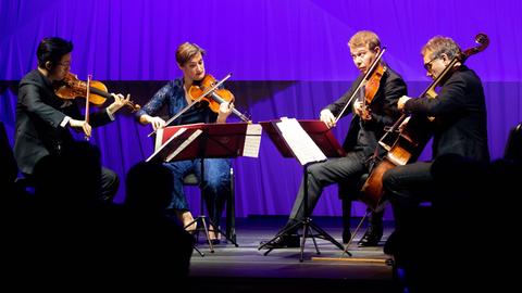 Das Diotima-Quartett 