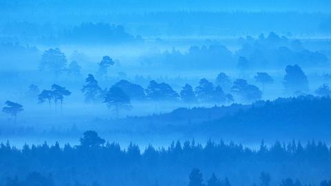 Schottland im Nebel