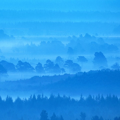 Schottland im Nebel
