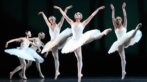 Das Ballett "Schwanensee" mit dem Australian Ballet