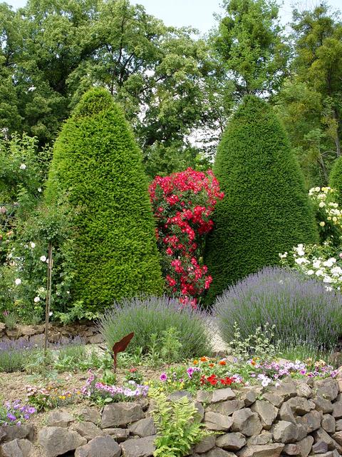 sf18 Gabi Hofmann Rosengarten Hadamar