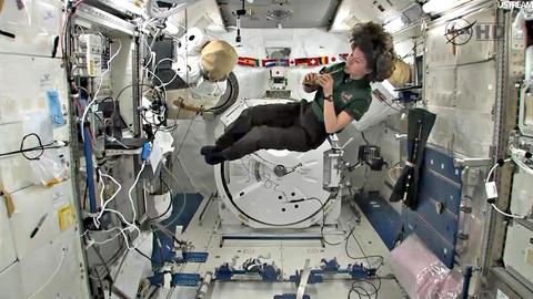 Astronautin Catherine Coleman spielt Tin Whistle zur Feier von St. Patrick's Day auf der Internationalen Raumstation 2011.