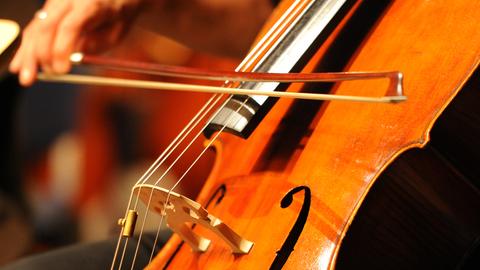 Violoncello