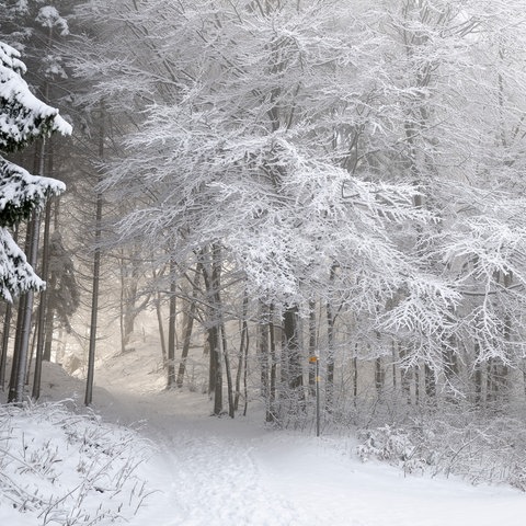 Winterlandschaft