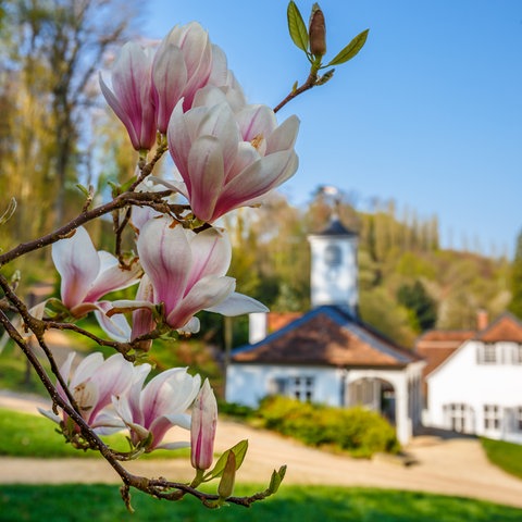 Park "Fürstenlager" in Bensheim-Auerbach